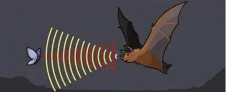 "毒王"蝙蝠的毒性为何这么大,总是招招致命,数量还如此之多?