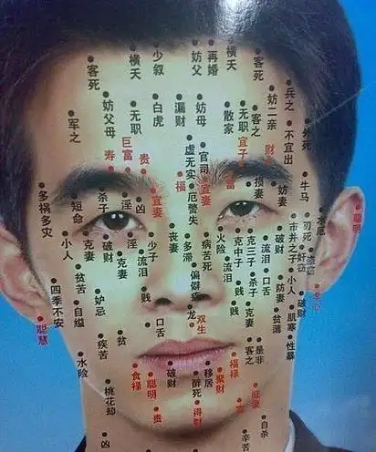 怎么看面相图解,教你怎么看面相:面相基础图解视频图1