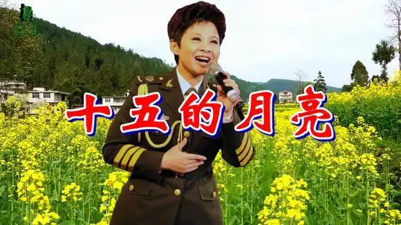 重温经典,董文华《十五的月亮》怀旧金曲,超级好听!