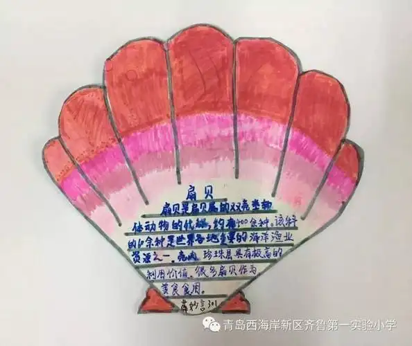 【齐小新闻】"神奇的贝壳"科普卡片设计大赛获奖名单揭晓