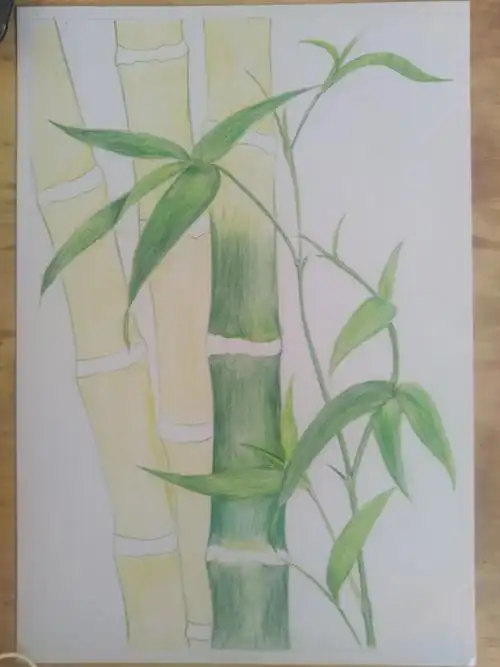 彩铅竹子 - 简书