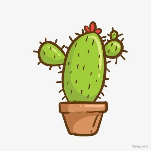 绿色仙人球png素材透明免抠图片-动植人物