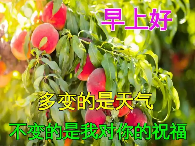 1月22日最漂亮早上好动态表情图片大全早晨好动图美图大全