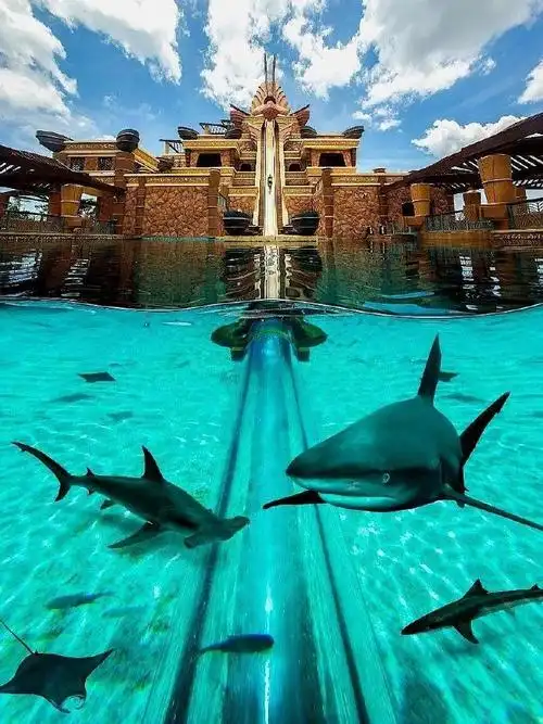 除了享受三亚免税店的购物乐趣,怎能错过亚特兰蒂斯这一海洋秘境呢?