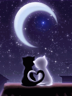 qq图片20110624055230