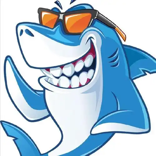 狂风暴浪脆脆鲨