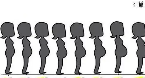 大部分孕妇着急自己肚子大小变化,怀孕多久才能看出来肚子呢?