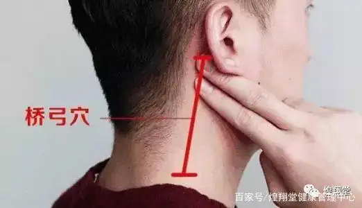 穴位治百病:人体57个降压穴