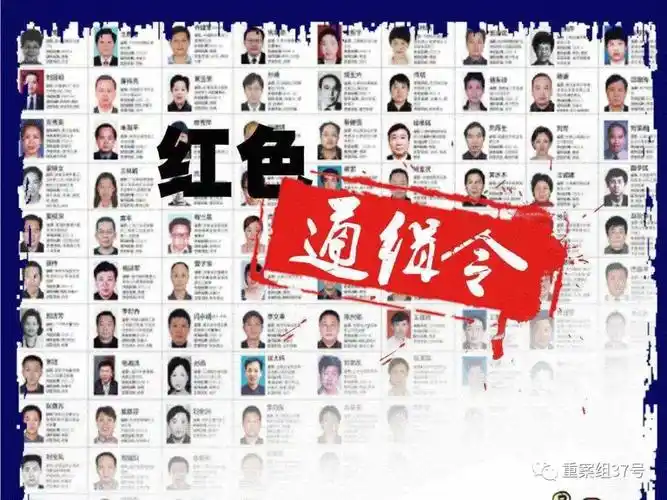 2015年,刘梦平被列入红色通缉令名单.