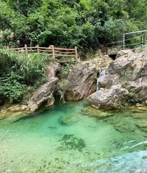 万物复苏送福利小鹏车主带你游南海湾森林生态园