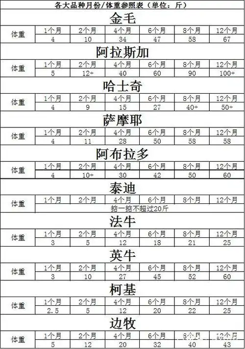 中小型犬正常体重是多少斤(奉上狗狗体重对照表,你家狗胖了还是瘦了?