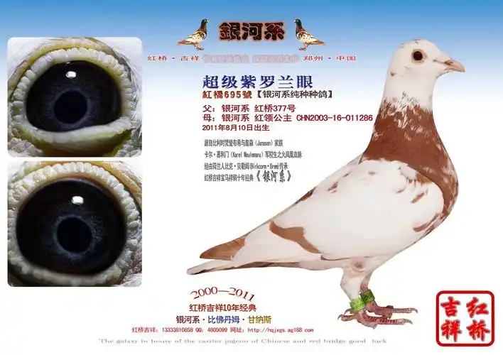 >> 查看拍卖商品