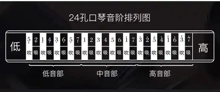 口琴很简单.看懂这几个音阶图你就学会了一半#口琴 #乐器演奏 - 抖音