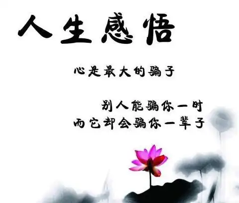 精辟人生感悟句子(精辟人生感悟寄语)