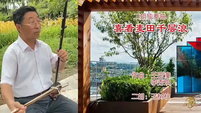 二胡独奏曲《喜看麦田千层浪》二胡演奏:王树柱老师-音乐视频-搜狐