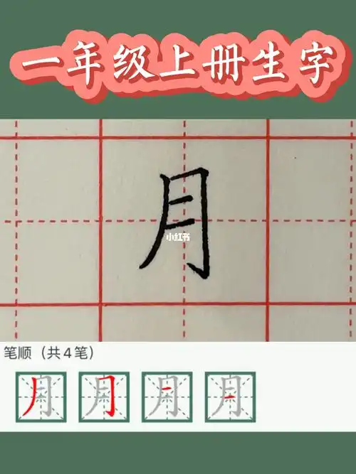 一年级上册生字月字硬笔楷书