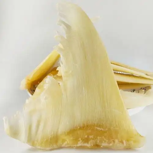 金勾翅 新鲜干货 鱼鳍 金钩翅 针翅丝 佛跳墙 新鲜 水产 海鲜 鲍鱼