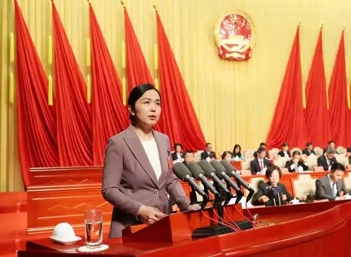 蔡颖代表区政府作政府工作报告