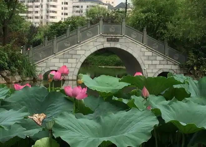 隐藏在福州闹市区的茶亭公园它唯美的景色令人沉醉