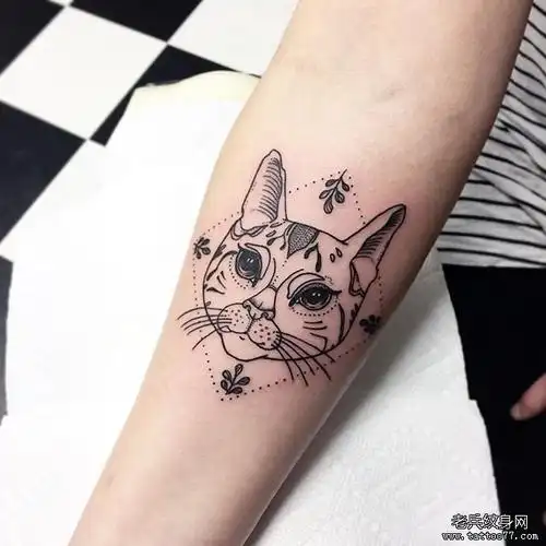 手臂几何猫咪纹身图案
