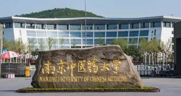 南京微旅之感 - 青梓文学网-专注高校文学