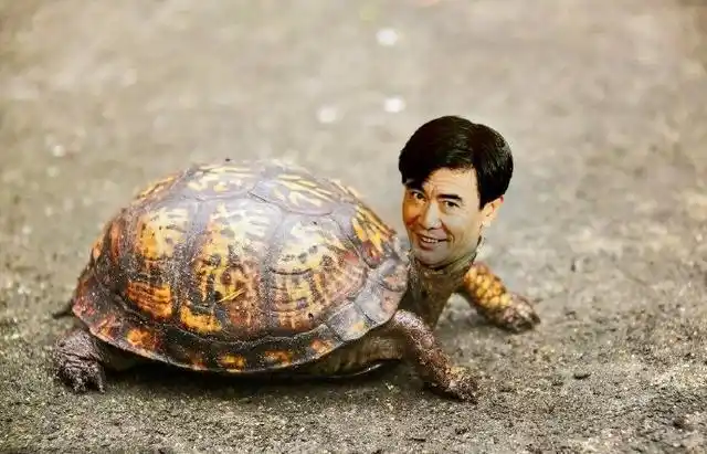 黄毅清p图恶搞一级演员张国庆这回真是过头了