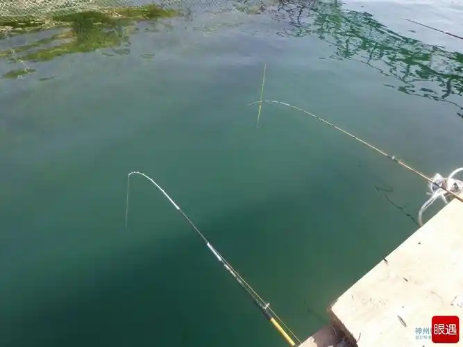 筏钓术语 - 大河钓友会 - 大河网眼遇-河南户外网