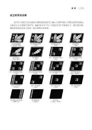 德军党卫军领章