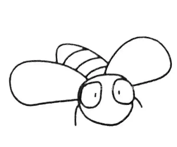 苍蝇简笔画 苍蝇简笔画简单