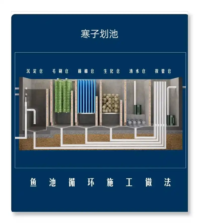 一张图就能看懂的锦鲤鱼池设计原理!