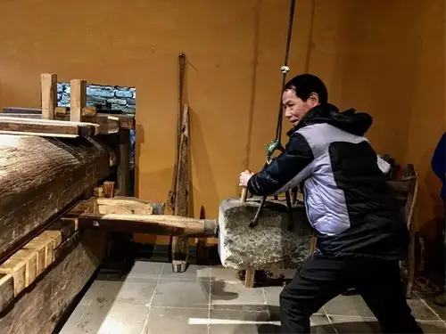 体验古老的古法榨油