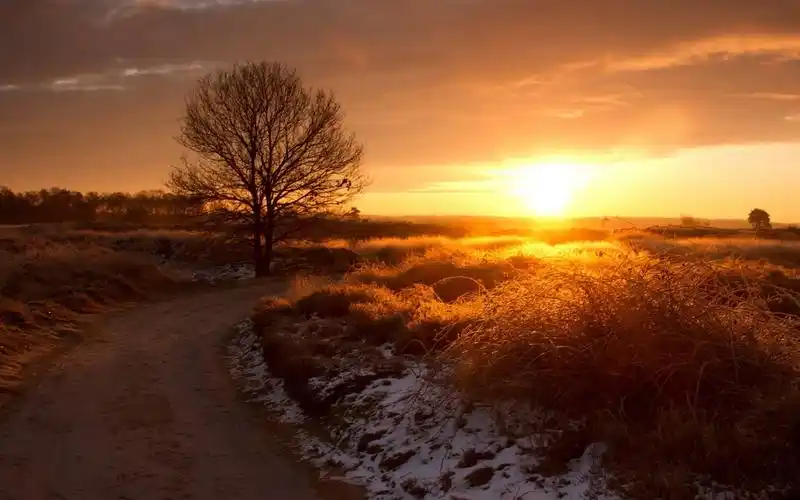 黄昏下有一种美丽叫做夕阳