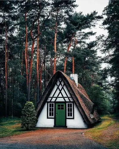 林中小屋,好想去住个一年半载.