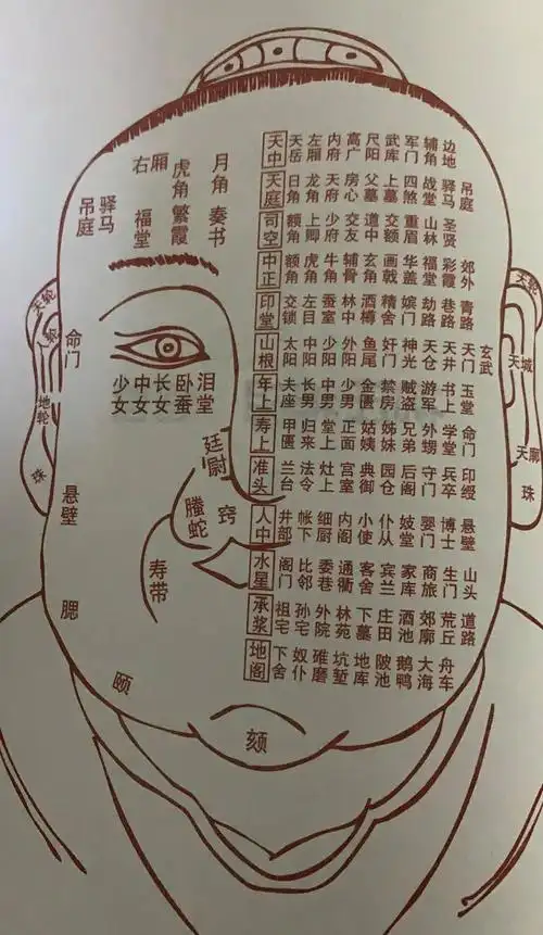 国学易经八字面相风水