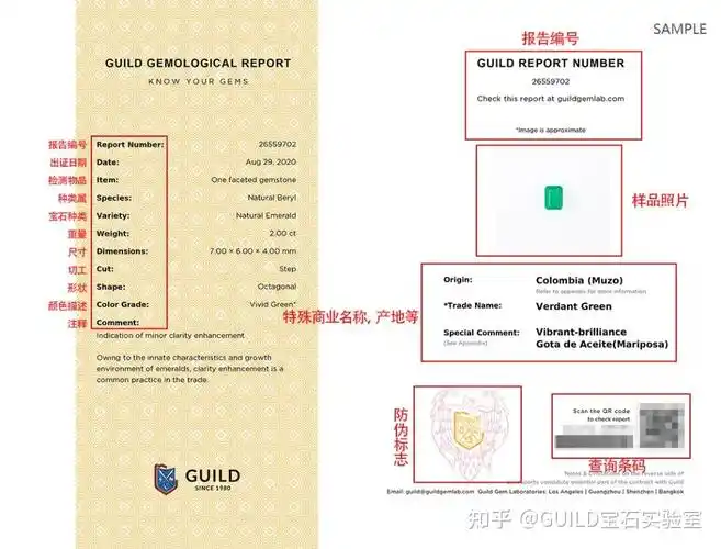 超全guild检测报告阅读指南2021