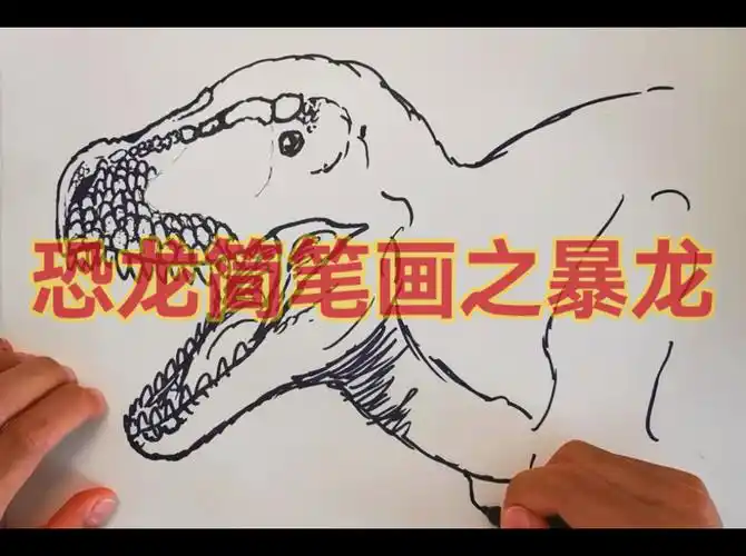 恐龙简笔画之暴龙