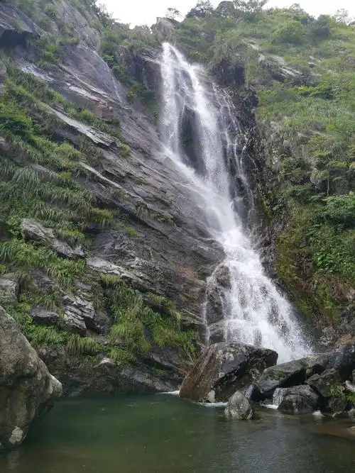 庐山游记之五老峰大口瀑布植物园含鄱口
