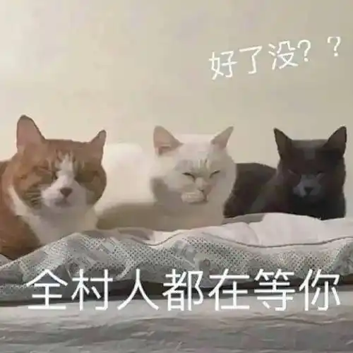 秘密交易丨第927期喵表情包_侵权_网络_图片