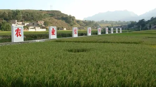 关于印发《2012年农业综合开发林业项目申报指南》的通知