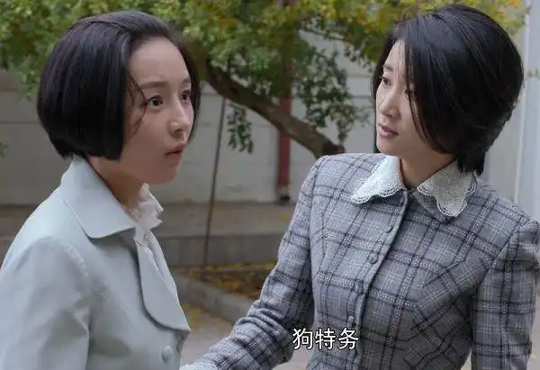 外交风云虚构的人物同样真实凌雁让人心生欢喜