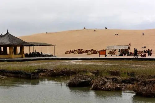 宁夏石嘴山的沙湖