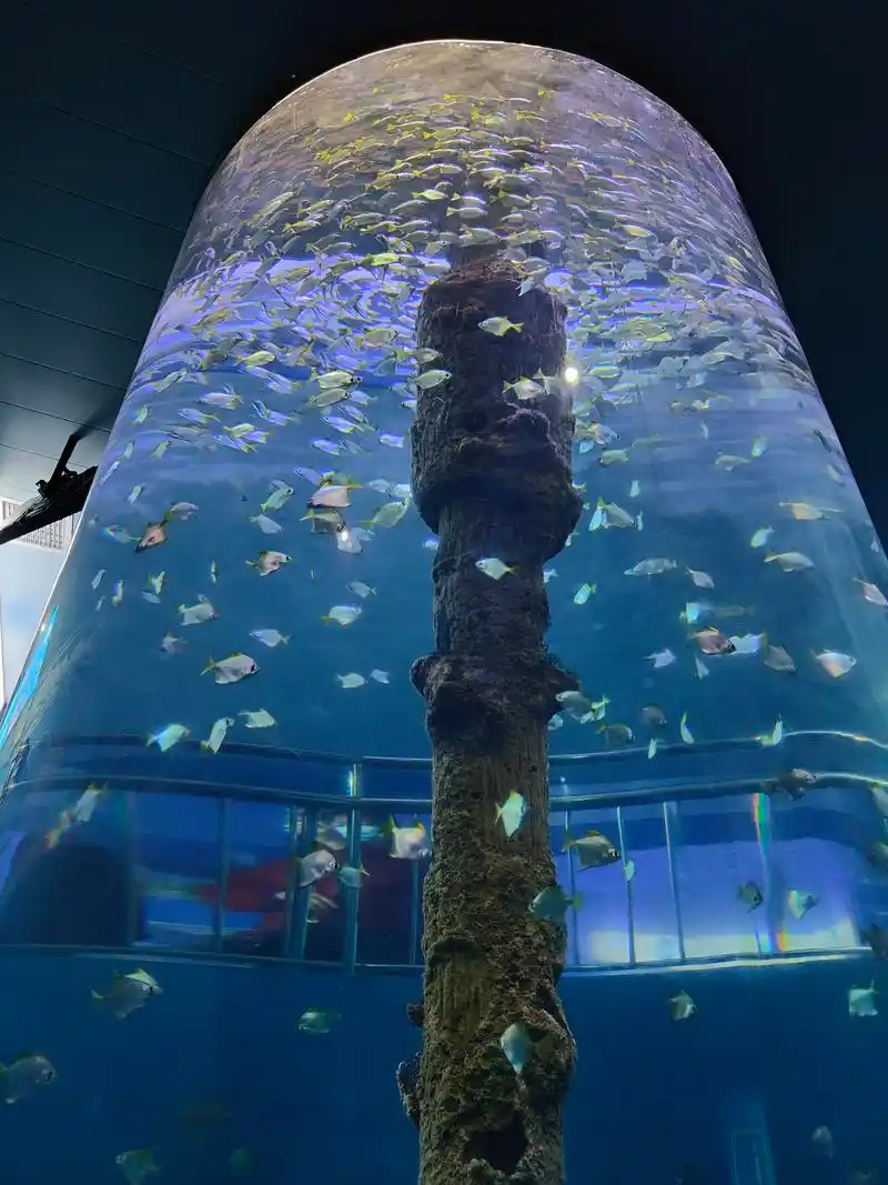 厦门鼓浪屿海底世界二