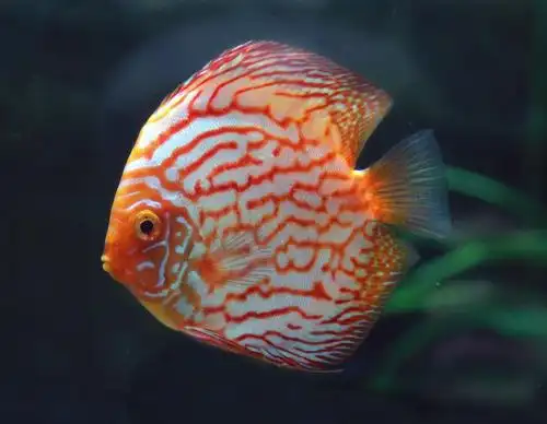 带你参观水族馆