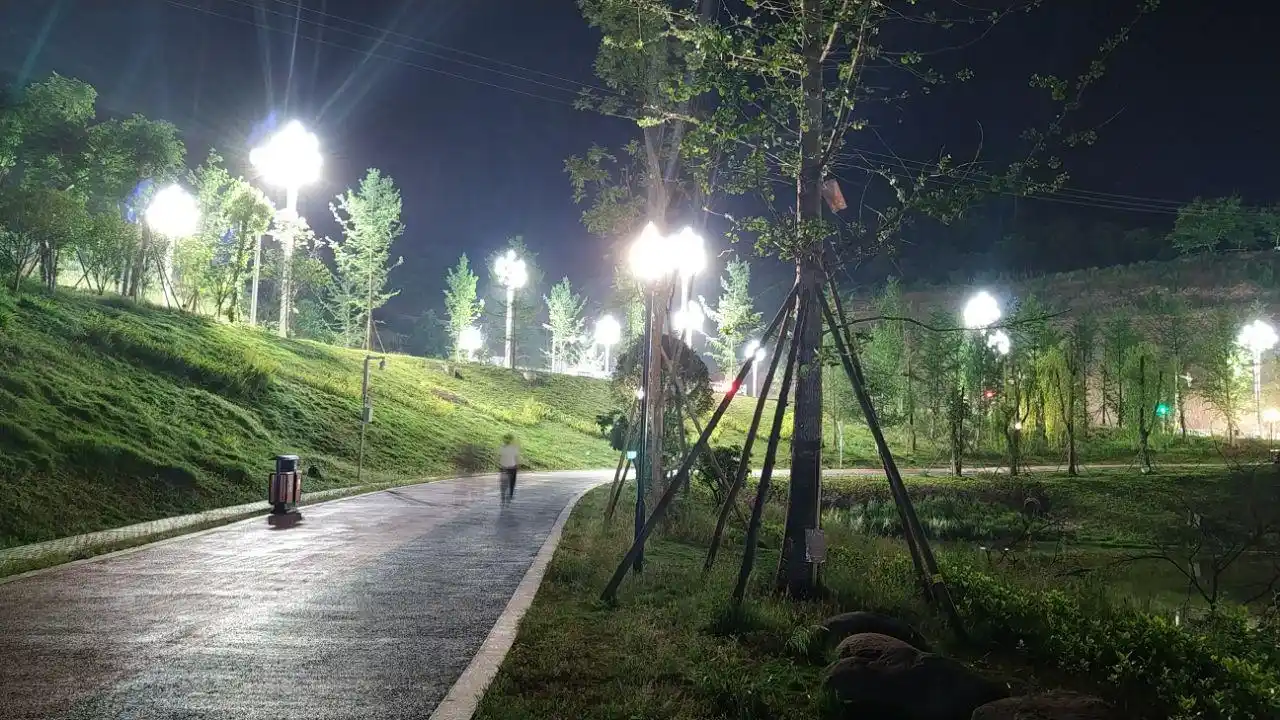 晚上散步的好地方梨树坪湿地公园