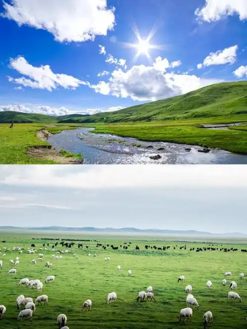 小知识:若尔盖自驾三日游攻略(若尔盖大草原三日游线路推荐)-图2