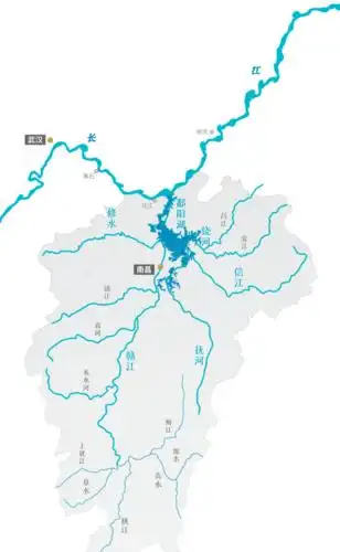 越冬迎春为什么选鄱阳湖