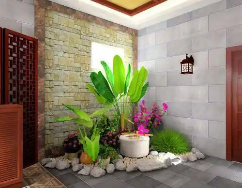 玄关植物摆放五行属性来选择