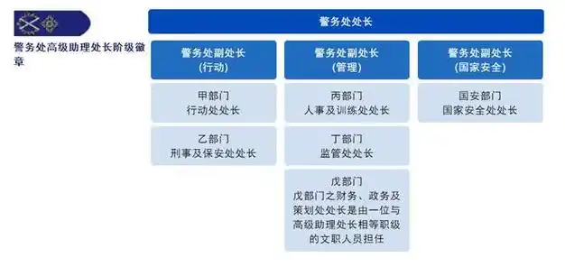 香港警队,非同一般的"正厅级"架构