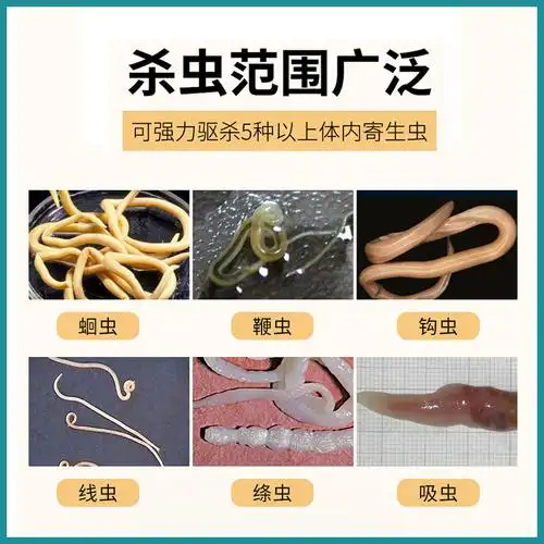 体内科灵灵格猫咪狗狗驱虫虫药宠物打虫药品猫
