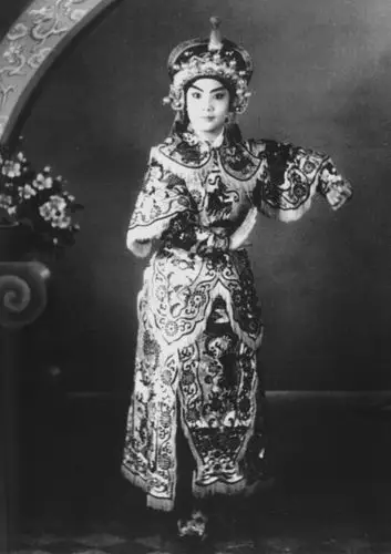 大型文献《豫剧大师常香玉》昨日与读者见面(图)